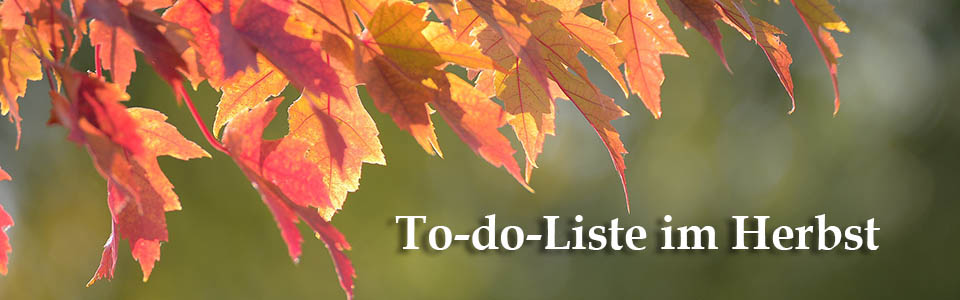 To-do-Liste im Herbst