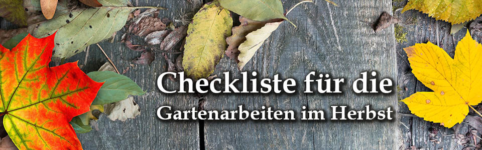 Checkliste für die Gartenarbeiten im Herbst