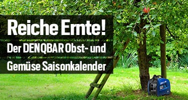 Zeit zu ernten! Der DENQBAR-Saisonkalender für Obst und Gemüse