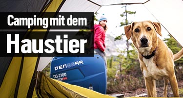 Camping mit Hund – Ein besonderes Abenteuer