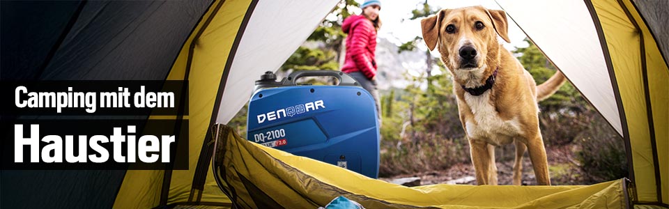 Camping mit Hund – Ein besonderes Abenteuer