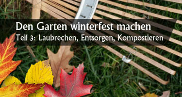 Den Garten winterfest machen Teil 3: Laubrechen, Entsorgen und Kompostieren