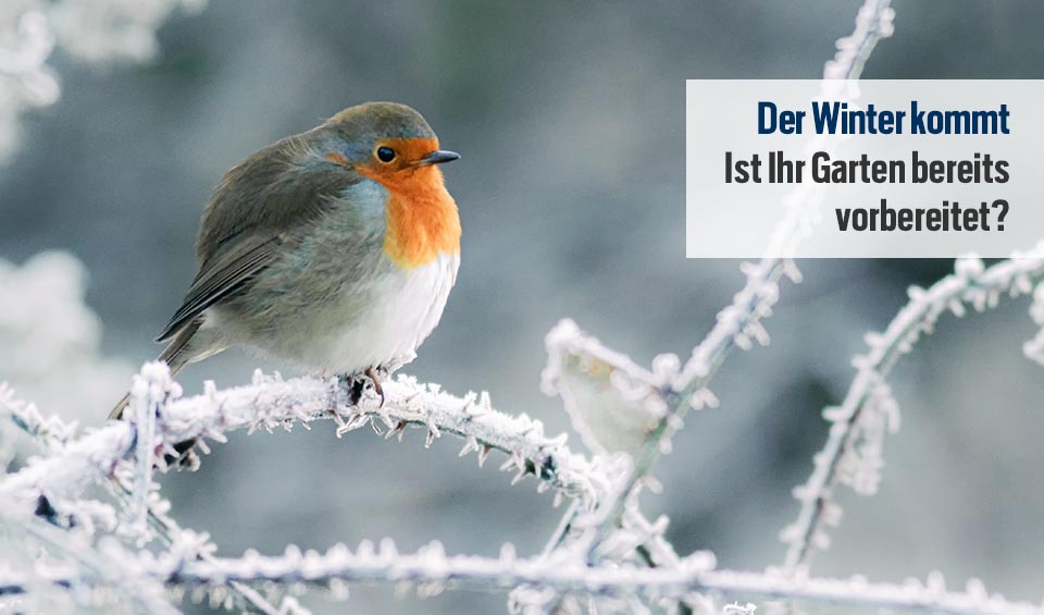 Vogel mit Wintergarten