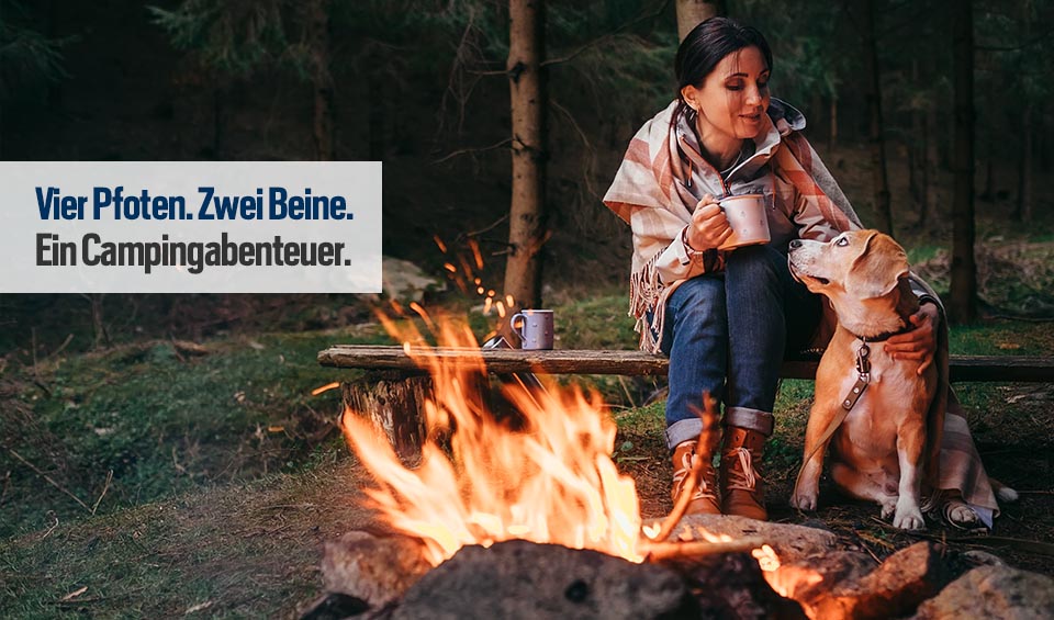 Camping mit Hund