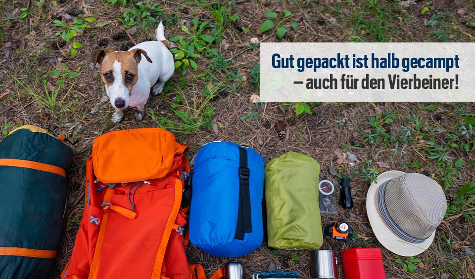 Camping Gepäck