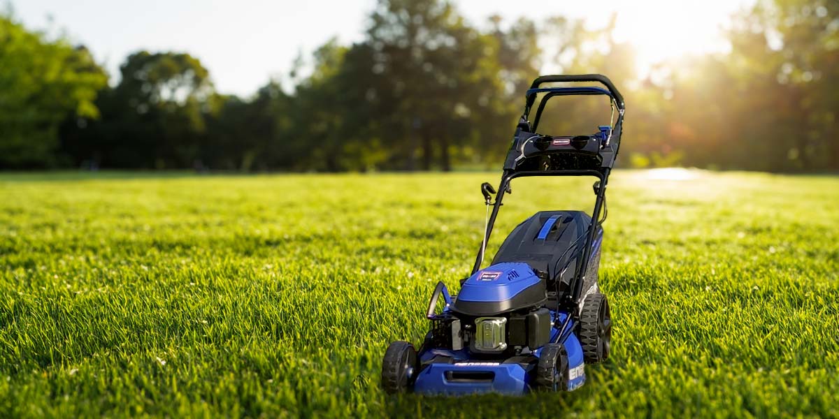 Tondeuses à essence DENQBAR pour une pelouse parfaite dans votre jardin